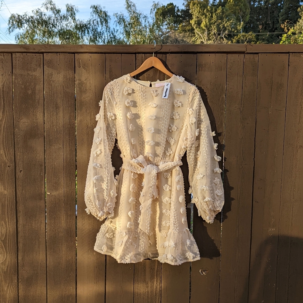 Ruffle Mini Dress with Balloon Sleeves (Size Medium)